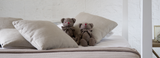 Sleep and children with special needs: Things that may help their sleep that go against mainstream sleep training advice
